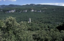 Forêt du Luberon-Lure. Crédit : Michel Etienne