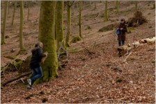 Les élèves mesurent le bois mort en forêt. Crédit : Lycée E Chatrian de Phalsbourg