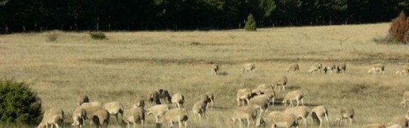 Reconciling activities and the environment