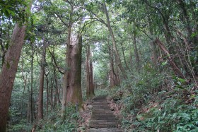 image de l'actualite