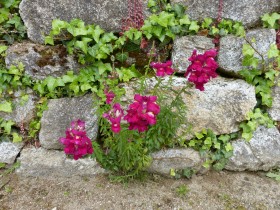 image du laureat-nom