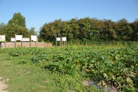 image du laureat-nom