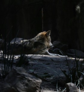 image de l'actualite