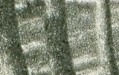 Carte postale_PNRCMO
