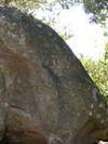 La forte fréquentation du massif forestier entraîne un processus d’érosion_RB Fontainebleau et Gâtinais