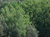 Etang tourbière de Waldeck_SYCOPARC
