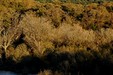 Mouth of the Fango River_N.ROBERT (PNR Corse)
