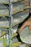 Production du fromage St-Nectaire dans le Cantal_A. Bordes - EPIDOR
