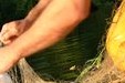 Pêche professionnelle sur la moyenne Dordogne_EPIDOR