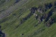 Réserve naturelle nationale de Ristolas_Christophe Amblard