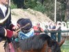 Tradition de chasse à courre dans la forêt de Fontainebleau_RB Fontainebleau et Gâtinais