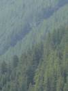 Veille environnementale_PNR du Queyras