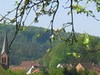 verger de Zittersheim_SYCOPARC