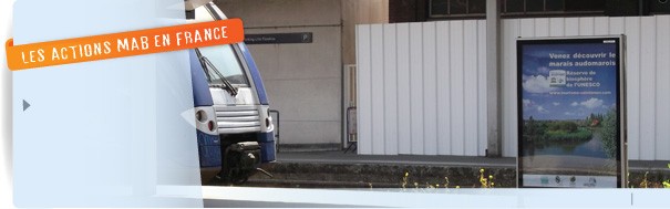 calque-audomarois-sncf-fr.jpg