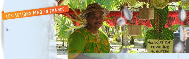 calque-fakarava-fr.jpg